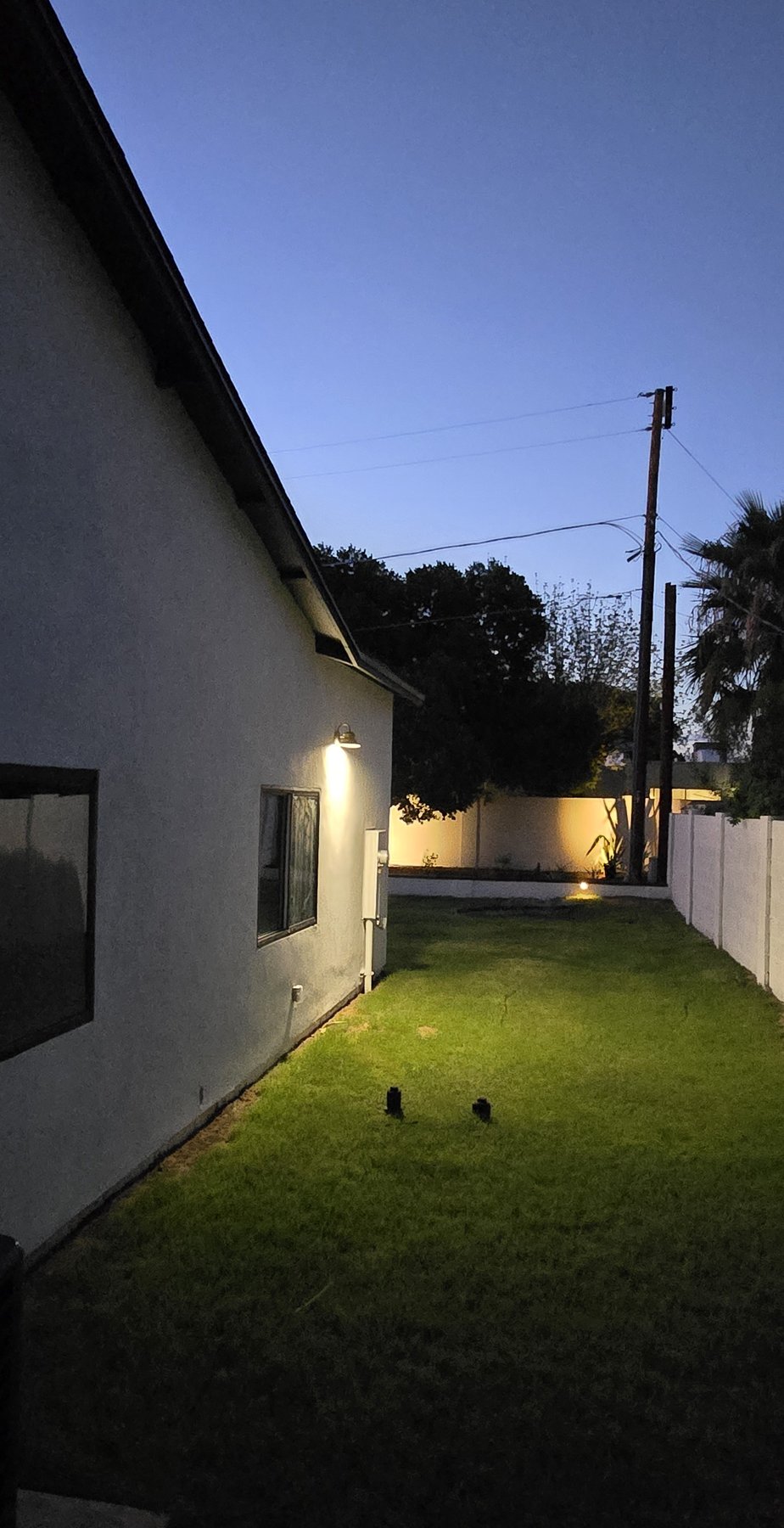 Real photo of side yard with landscape lighting